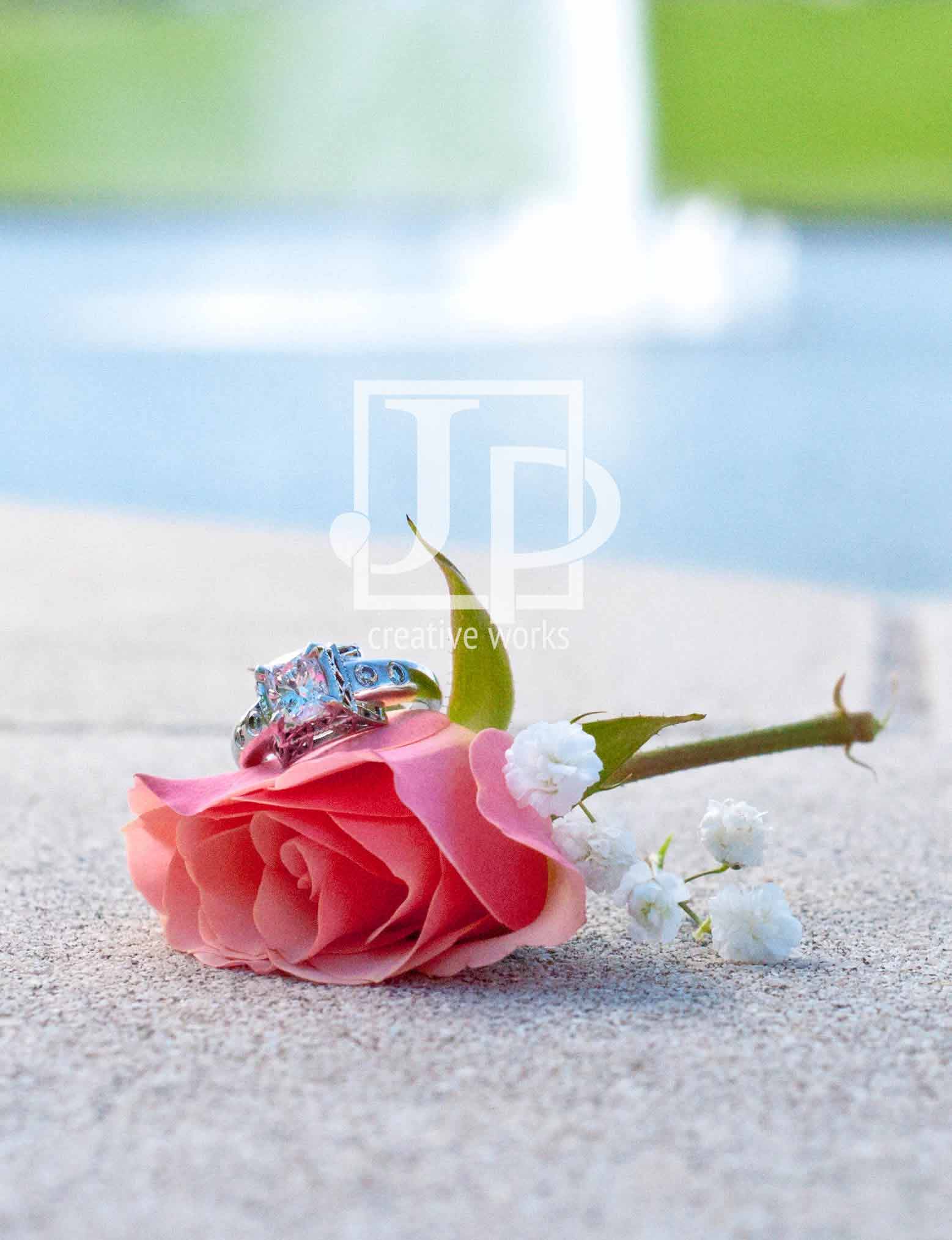 Watermarked Engagement Photoshoot